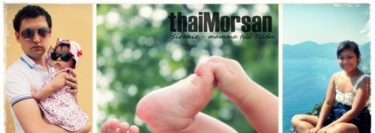 thaimorsan header